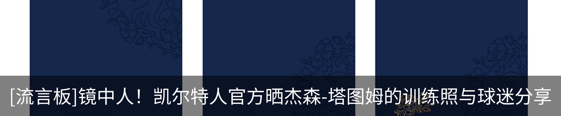 新闻动态